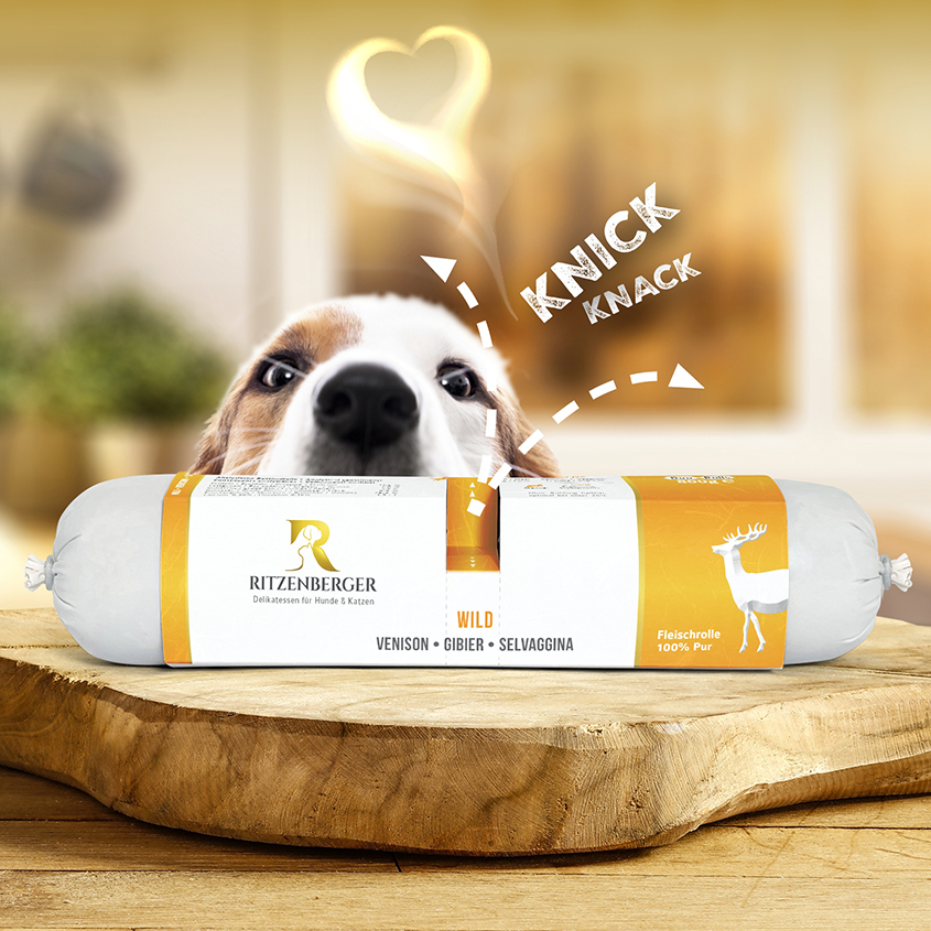 Teaser Quadrat verlinkt, Vorschau Onlineshop Ritzenberger Tiernahrung; kleiner süßer Hund mit aufgerissenen Augen schnüffelt von hinten über Theke, um an Produkt auf geschwungener Holzplatte zu gelangen