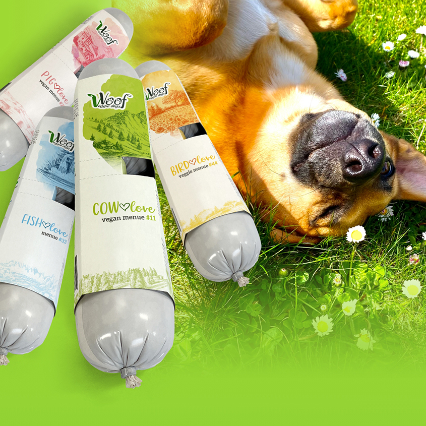 Teaser Quadrat verlinkt, Vorschau Onlineshop Voof Veggie Dogs; im Vordergrund Tiehrnahrung dynamisch angeordnet in wurstform verpackt; dahinter brauner Hund, der sich auf grüner Wiese auf Rücken räkelt